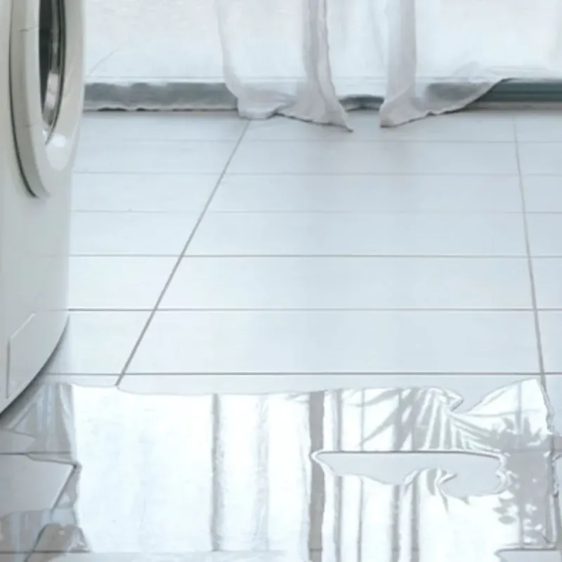 Appliance Leak Cleanup in Maurice, LA