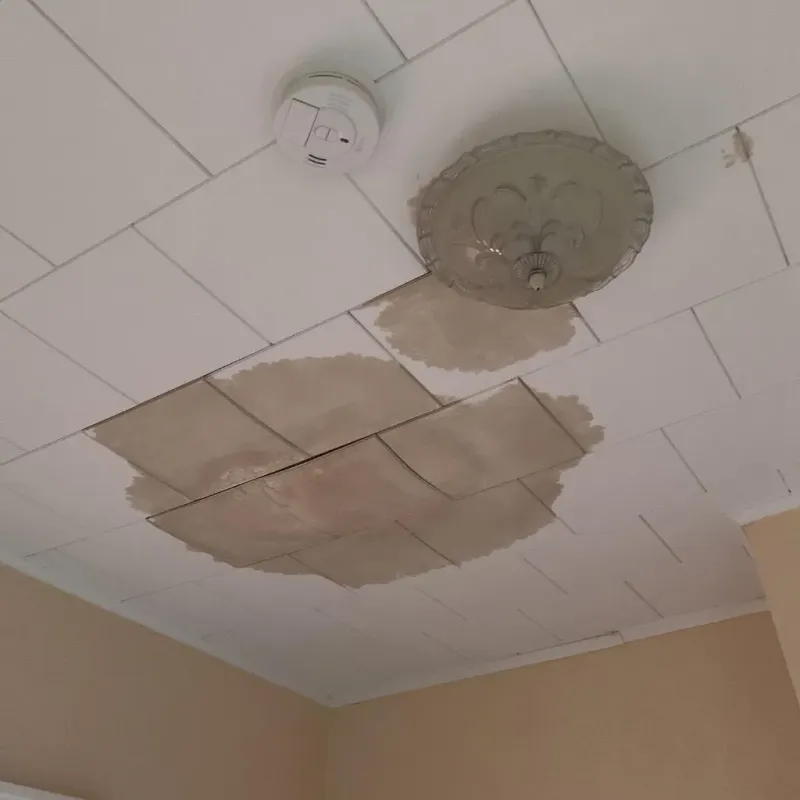 Ceiling Water Damage Repair in Maurice, LA